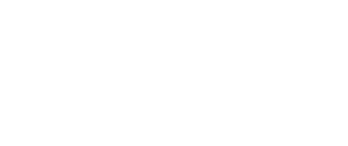 Logo 101