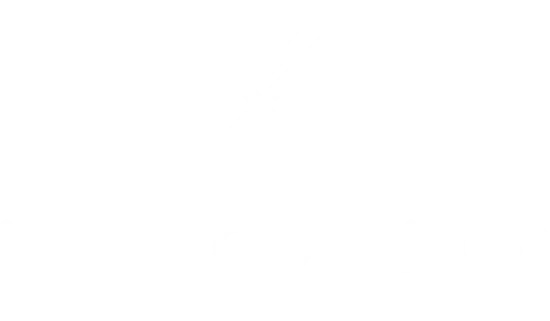 Logo 22