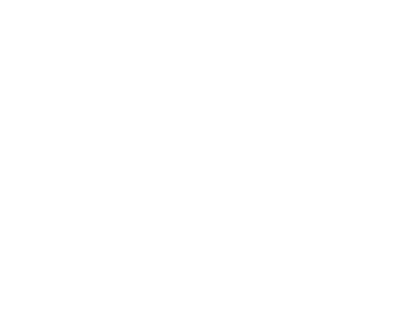 Logo 37