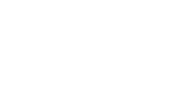 Logo 41
