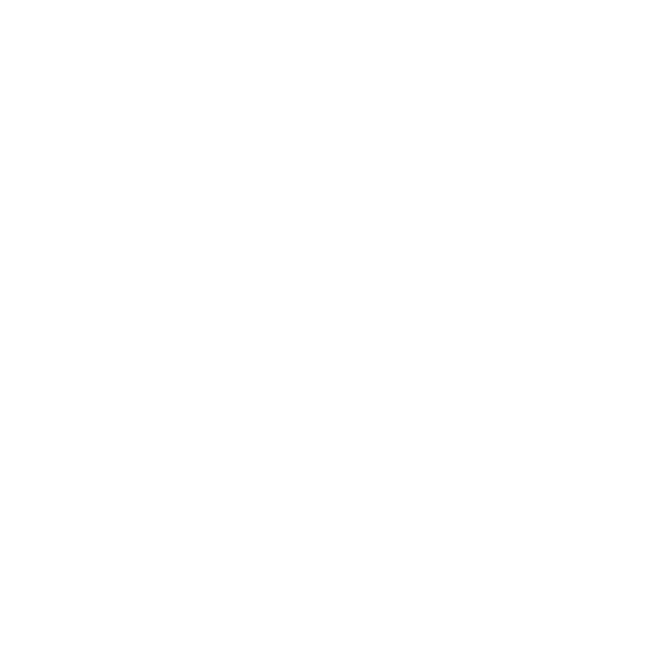 Logo 51