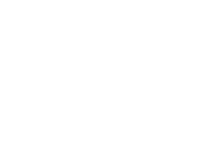Logo 70