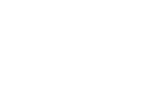 Logo 80