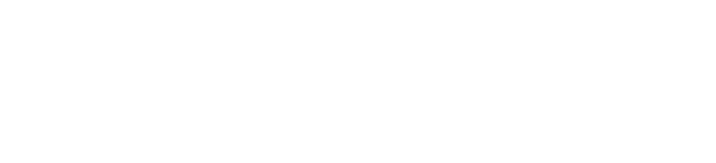 Logo 85