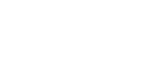 Logo 90