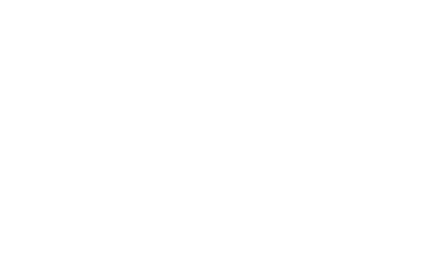 Logo 93