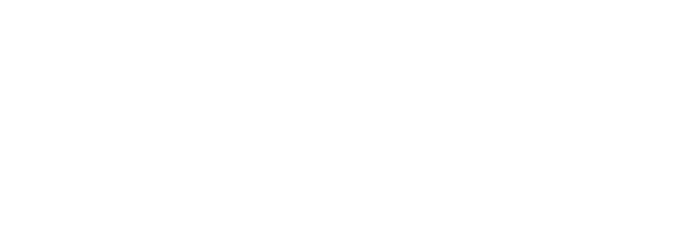 Logo 96